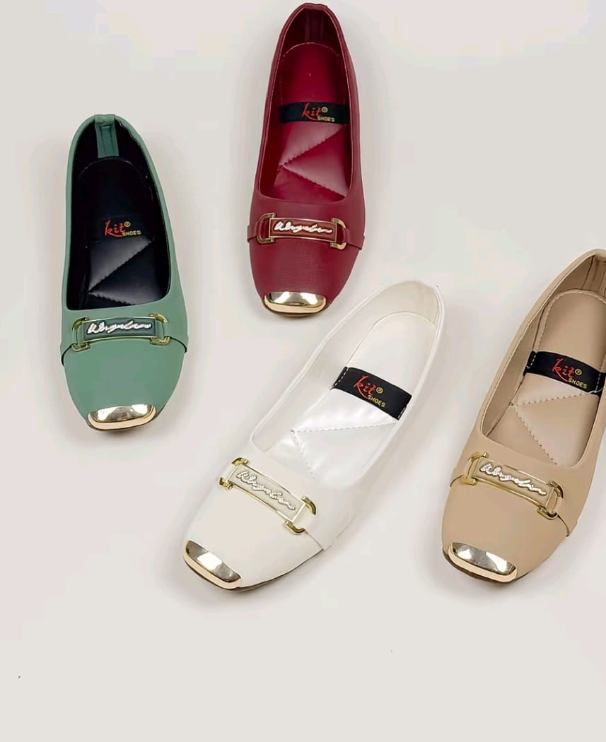 Flat Ladies shoes
